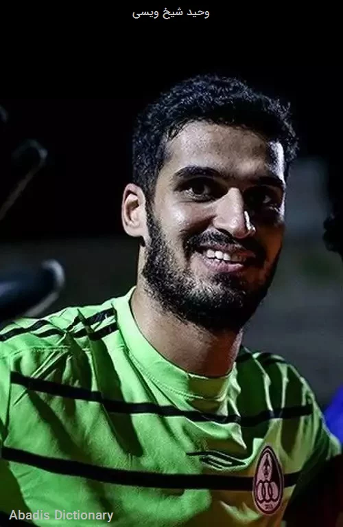 وحید شیخ ویسی